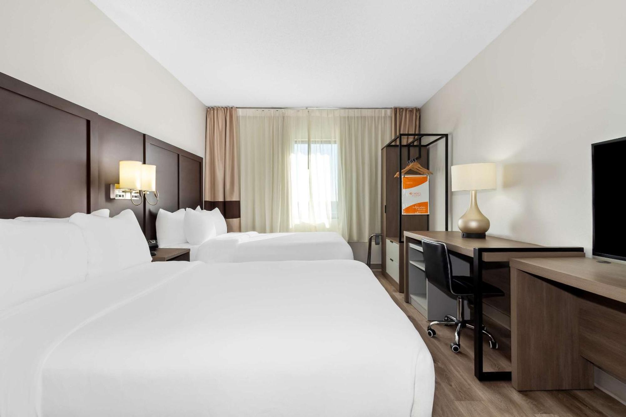 Comfort Suites Lumberton Ngoại thất bức ảnh